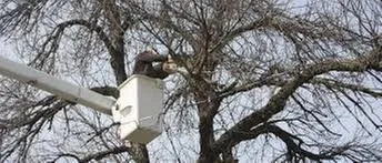 Reliable yard maintenance in Peoria, IL by Durdel & Sons Landscaping & Tree Service