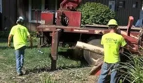 Affordable residential landscaping for homes in Peoria, IL by Durdel & Sons Landscaping & Tree Service