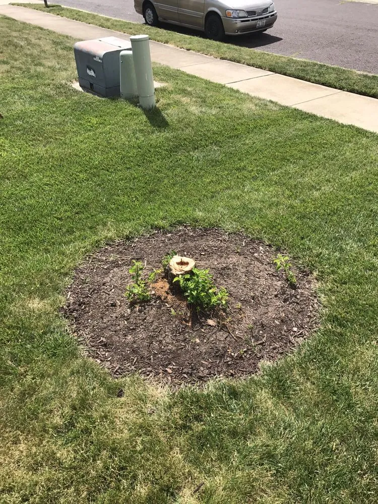 Local yard cleanup service near you in Peoria, IL by Durdel Ted Landscaping & Tree Service