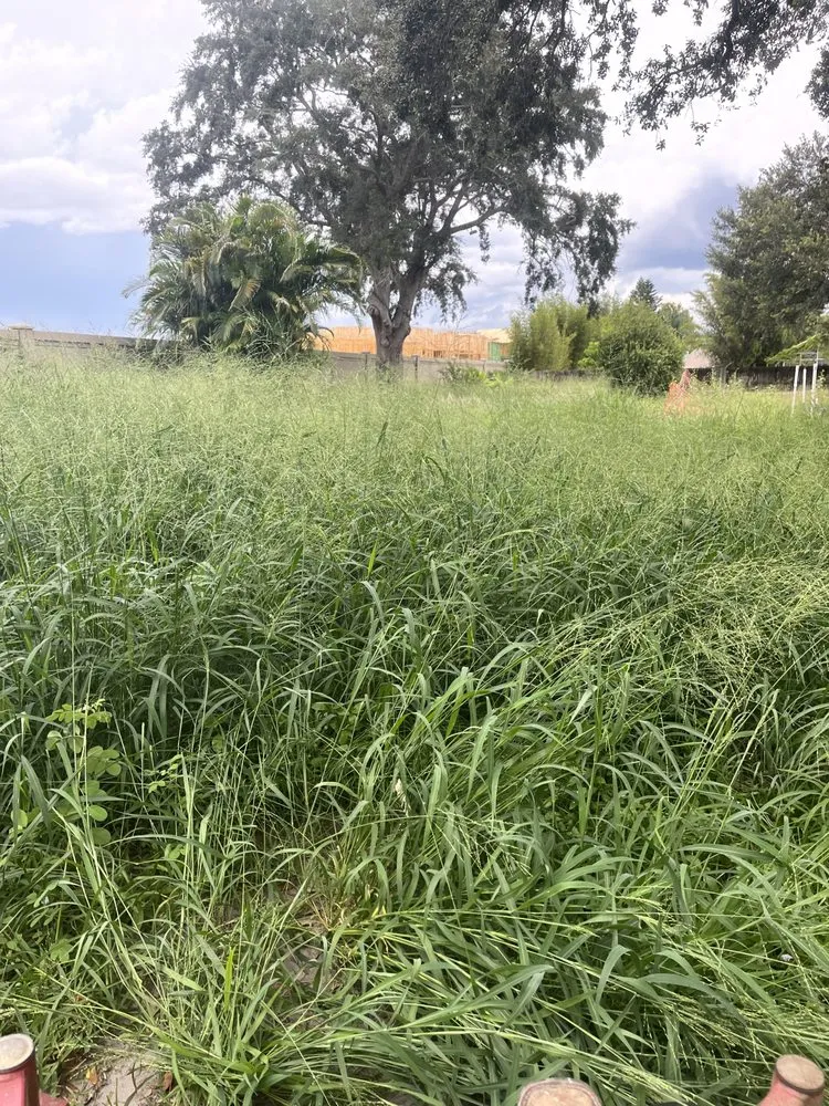 Professional outdoor landscaping in Winter Haven, FL - Durden Industries