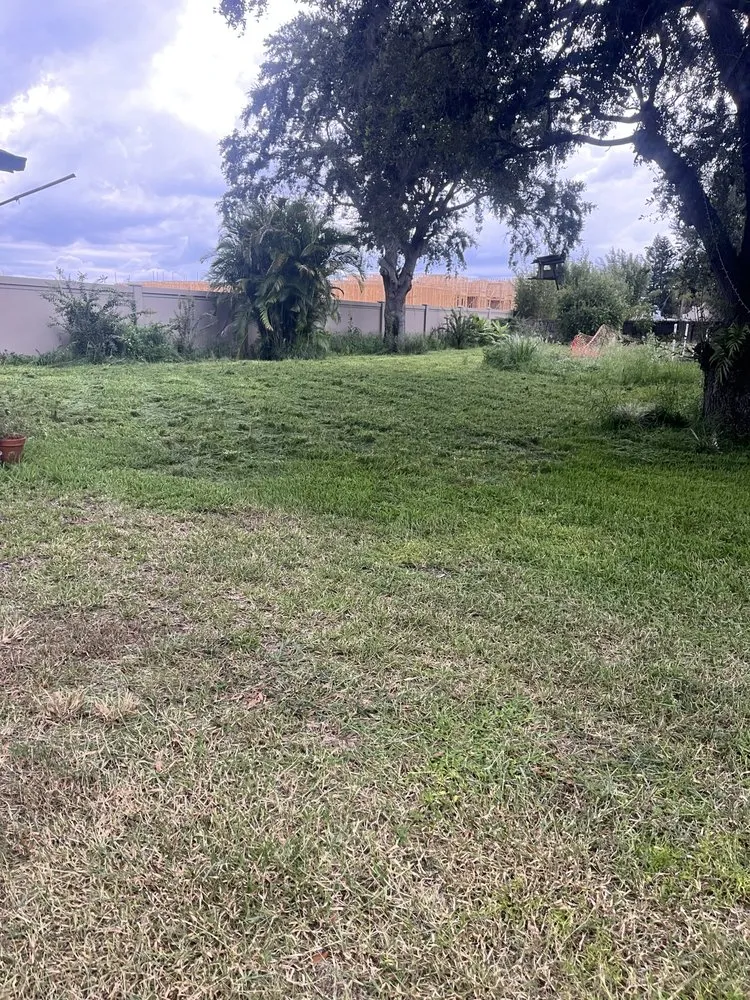 Top-rated landscaping services for outdoor upgrades in Winter Haven, FL by Durden Industries