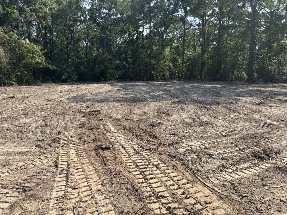Top-rated yard maintenance for outdoor upgrades in Burke, TX by Duren Land Management