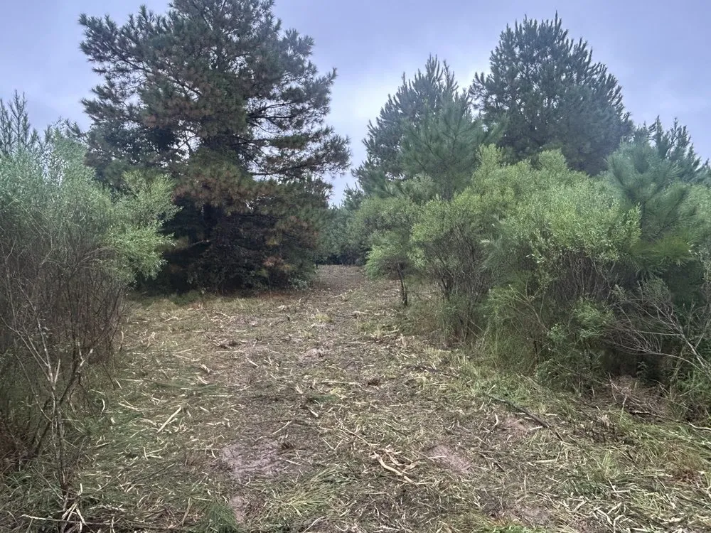 Top-rated lawn care service for residential properties across Burke, TX - Duren Land Management