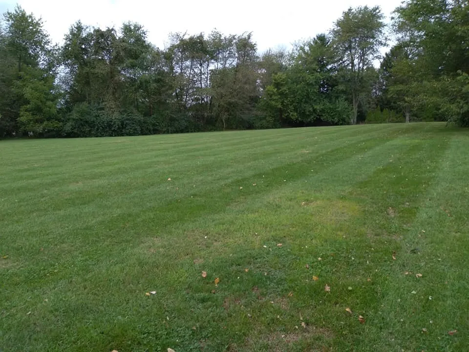 Expert outdoor landscaping for homes across Carlisle, PA - Durfs Services