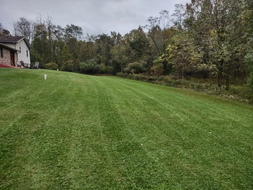 Top-rated residential landscaping in Carlisle, PA - Durfs Services