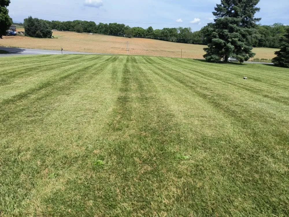Top-rated lawn care service in Carlisle, PA by Durfs Services