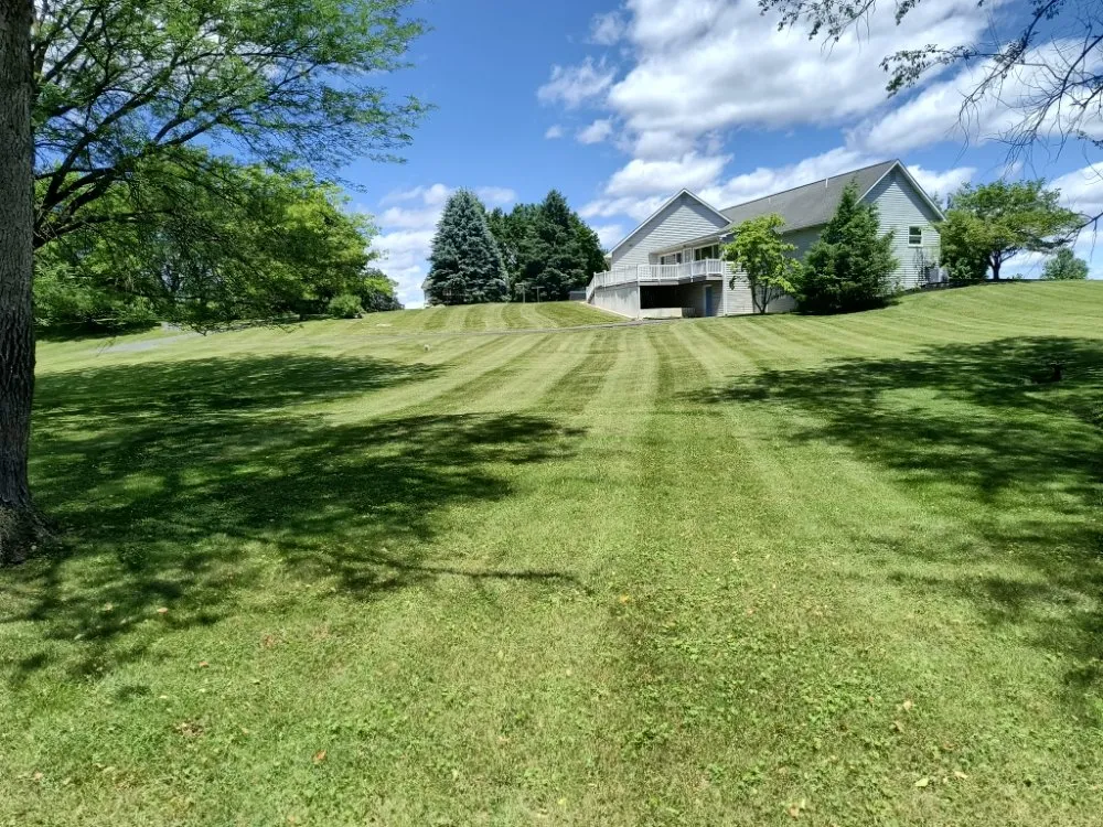 Custom yard cleanup service experts serving Carlisle, PA - Durfs Services