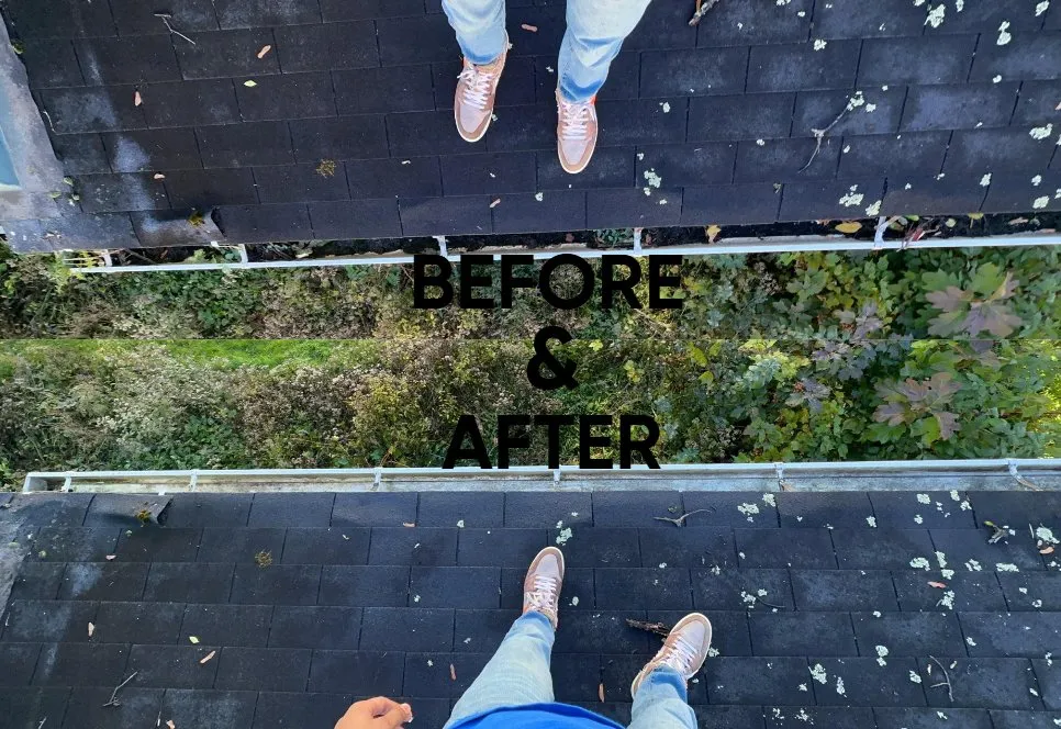 Affordable residential landscaping experts serving Cortland, NY - Durham & Co Cleaning