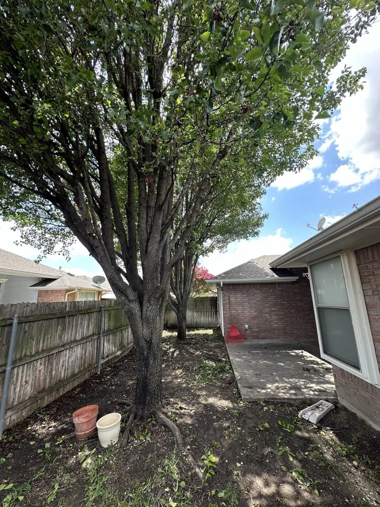 Affordable yard cleanup service in Ennis, TX by Durham Services