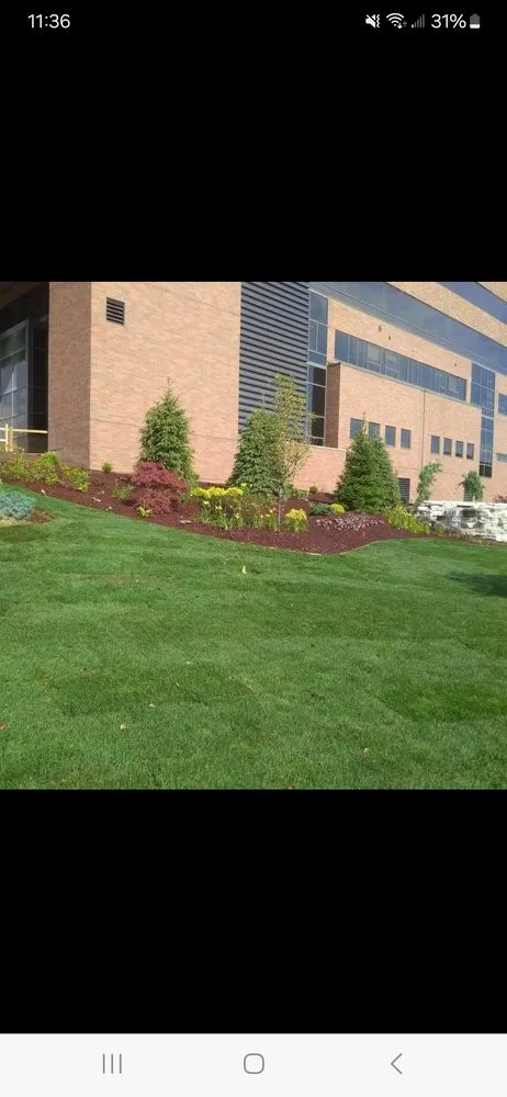 Reliable lawn care service with custom design in Jackson, MI by Durham's Services
