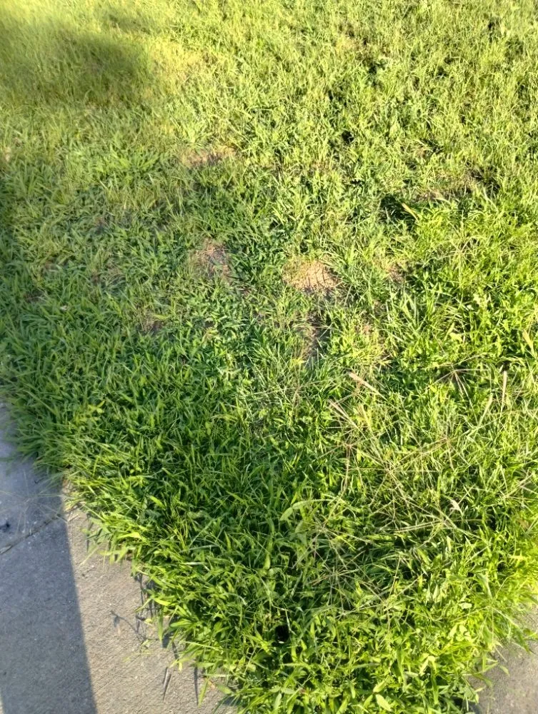 Professional outdoor landscaping for residential properties in Wichita, KS by Dusk 2 Dawn Home Services