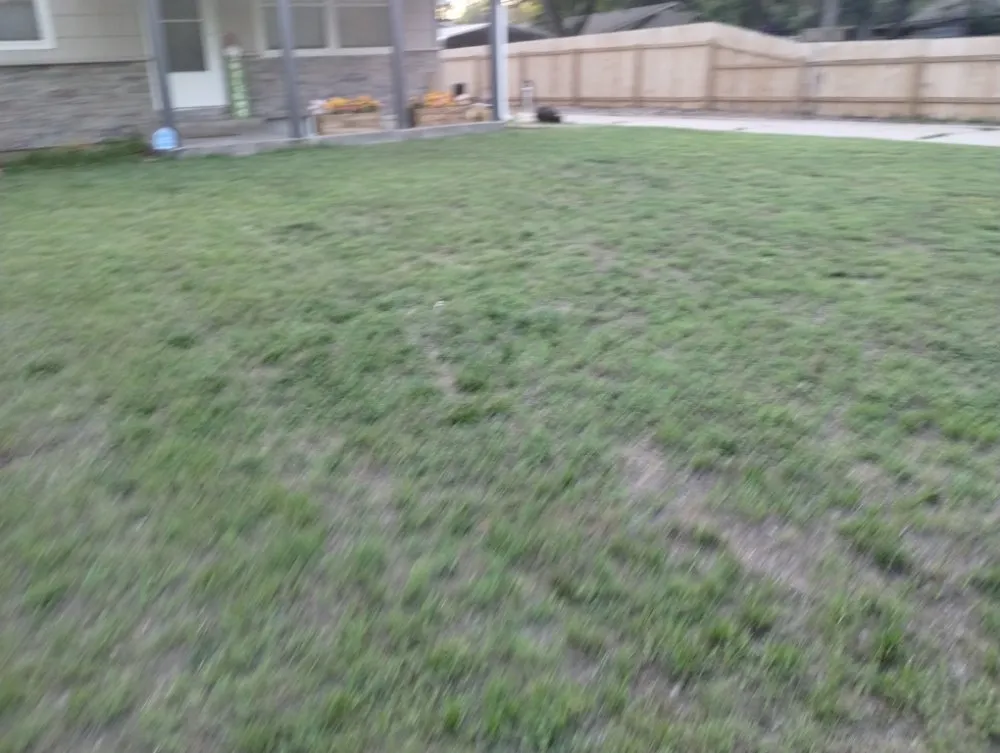 Reliable yard cleanup service in Wichita, KS - Dusk 2 Dawn Home Services