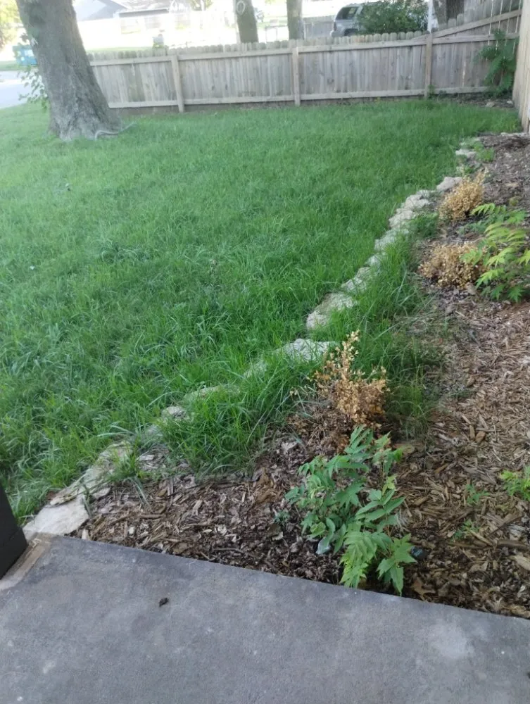 Reliable lawn mowing service in Wichita, KS by Dusk 2 Dawn Home Services