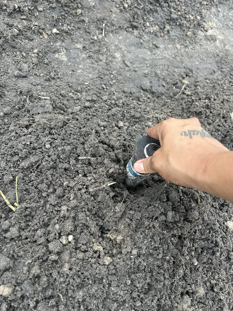 Custom yard maintenance experts serving Palmetto, FL - Dusk 2 Dawn