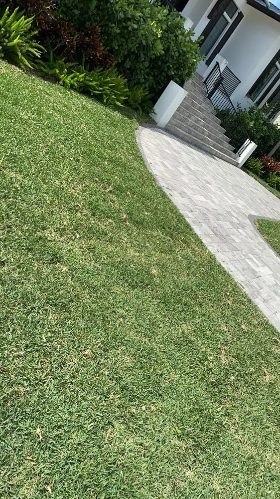 Trusted yard maintenance experts serving Palmetto, FL - Dusk 2 Dawn