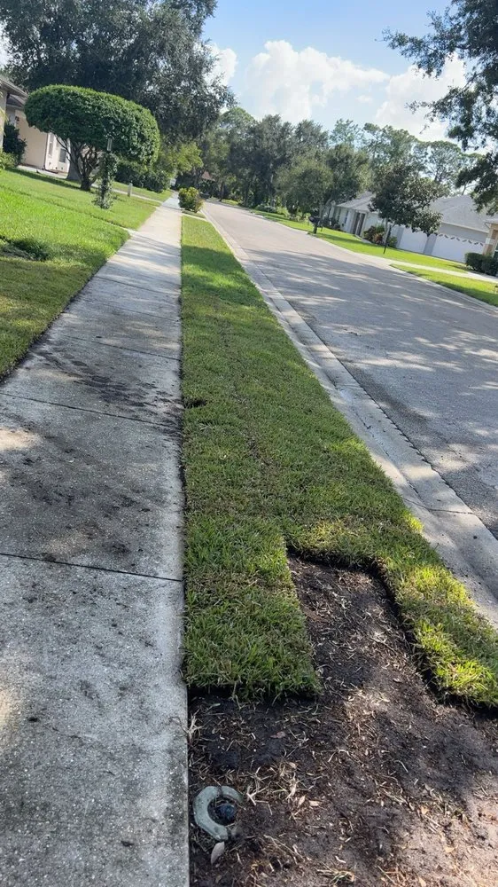 Top-rated landscape design in Palmetto, FL by Dusk 2 Dawn