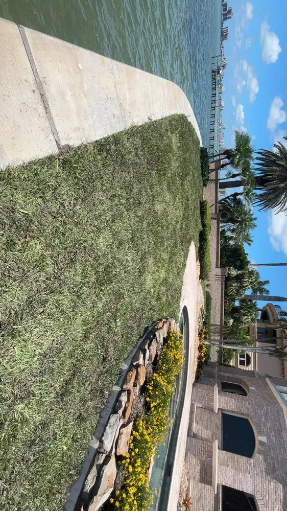 Affordable yard cleanup service experts serving Palmetto, FL - Dusk 2 Dawn