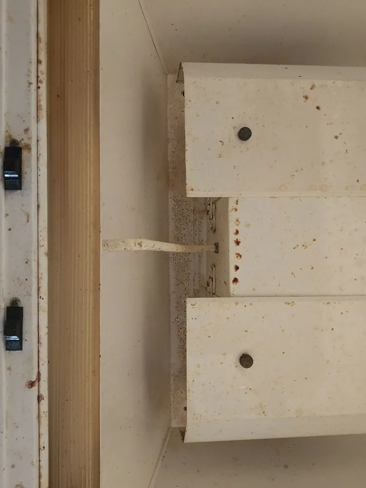 Expert lawn care service for year-round maintenance in Clyde, TX by Dust 2 Dawn Cleaning