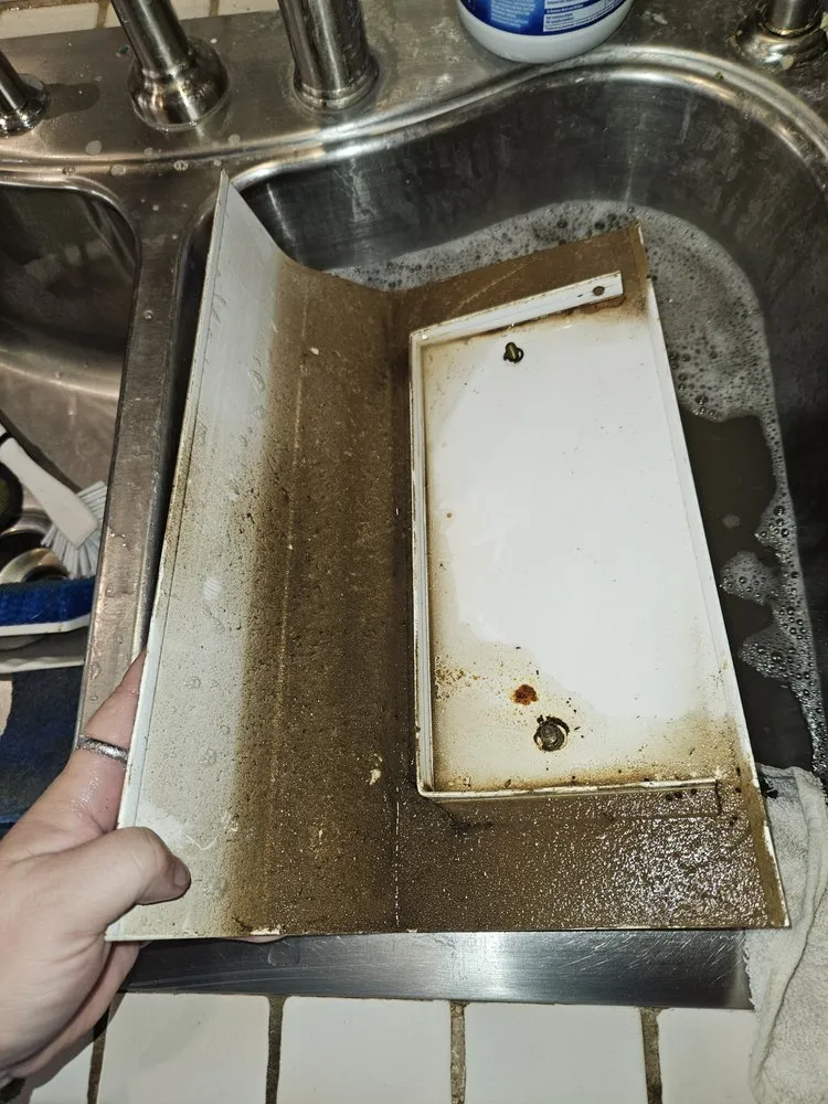 Trusted landscape installation in Clyde, TX by Dust 2 Dawn Cleaning