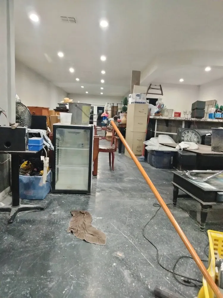 Professional yard cleanup service experts serving Modesto, CA - Dust Busters Cleaning Specialist