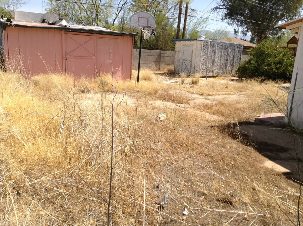 Professional yard maintenance in Tucson, AZ - Dust Devil Landscaping LLC