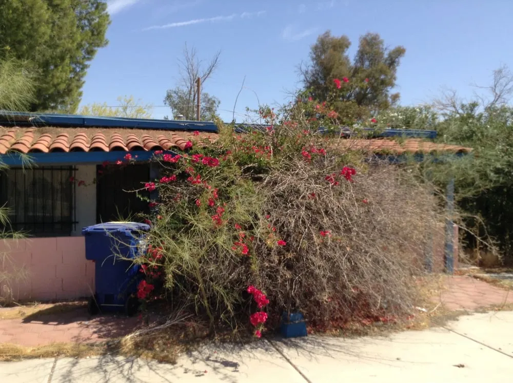 Custom lawn care service experts serving Tucson, AZ - Dust Devil Landscaping LLC