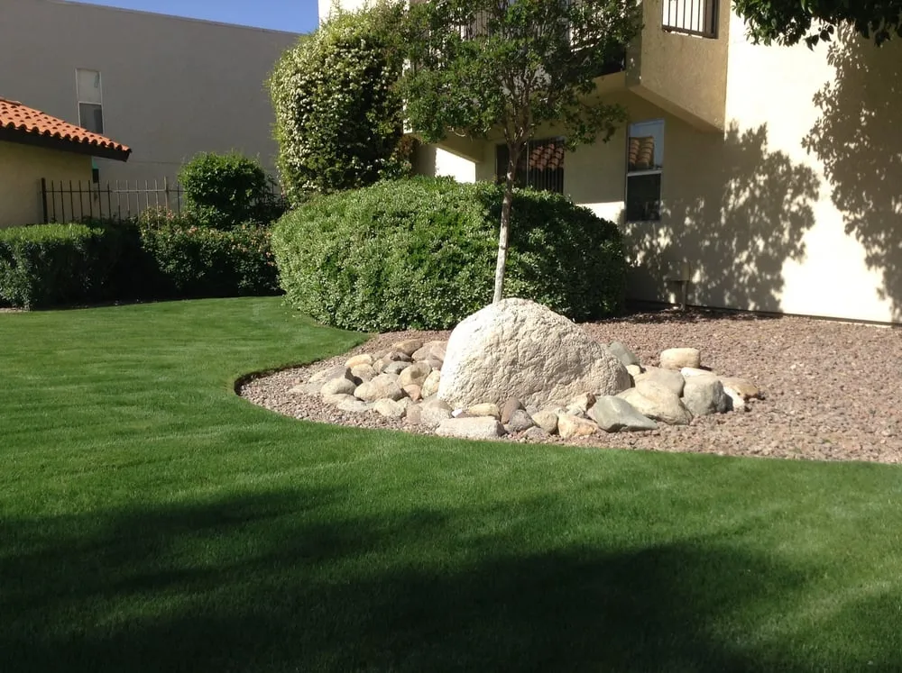 Local outdoor landscaping for residential properties in Tucson, AZ by Dust Devil Landscaping LLC