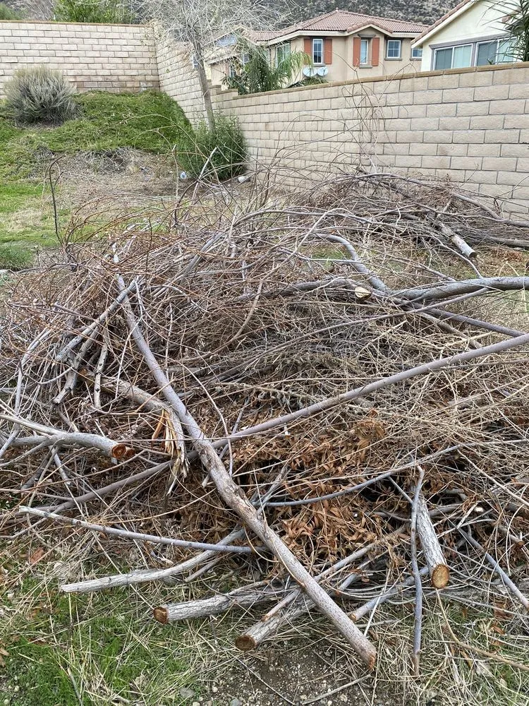 Expert garden landscaping for residential properties across Riverside, CA - Dust to Lawn Landscaping