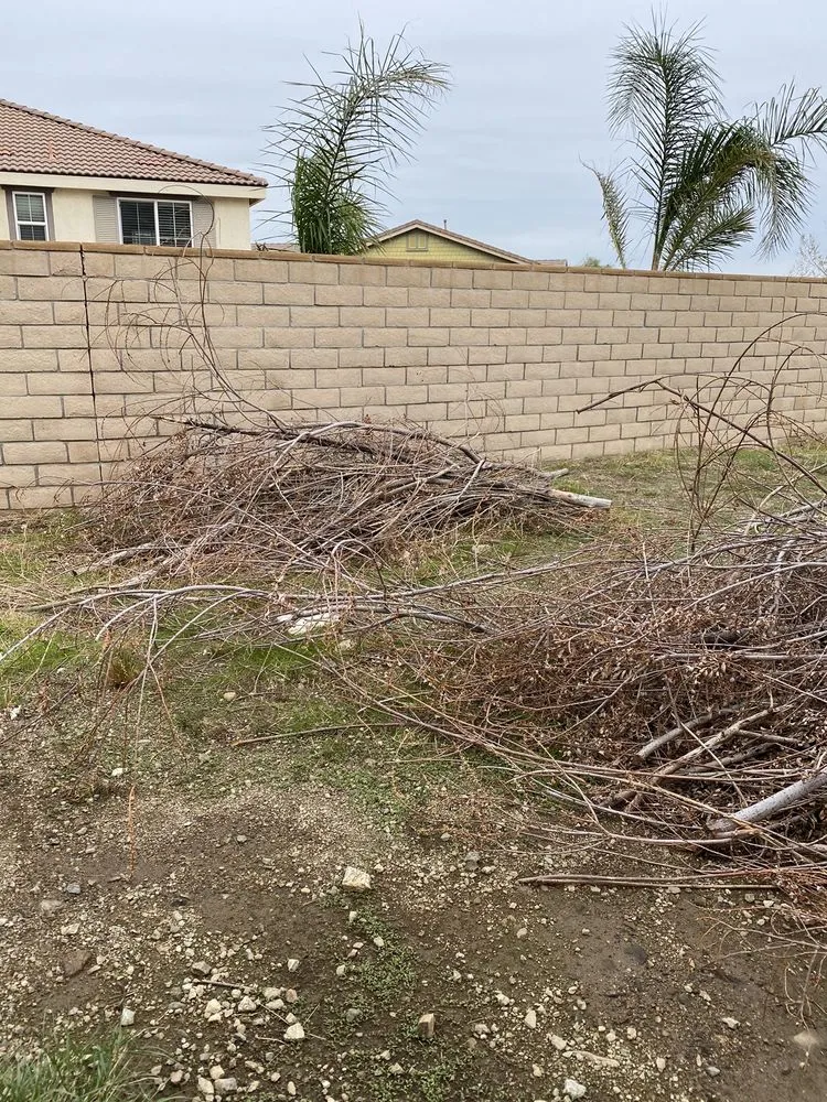 Expert landscape installation in Riverside, CA by Dust to Lawn Landscaping