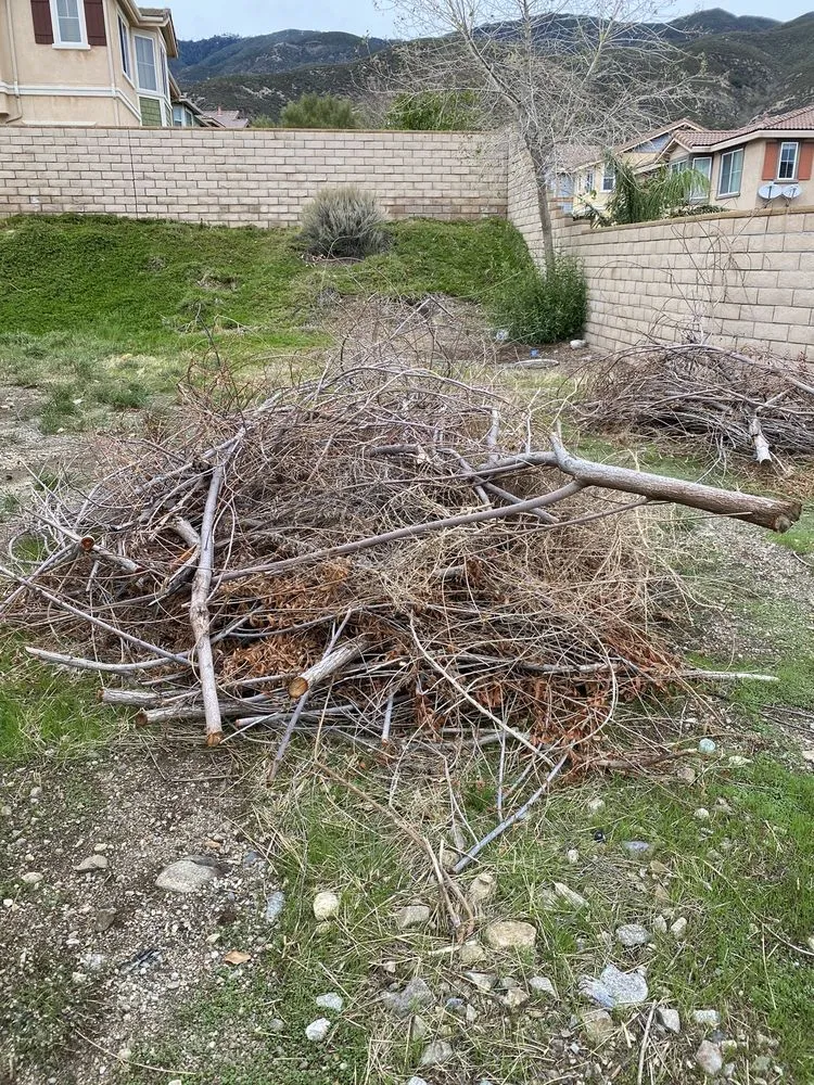 Top-rated residential landscaping experts serving Riverside, CA - Dust to Lawn Landscaping