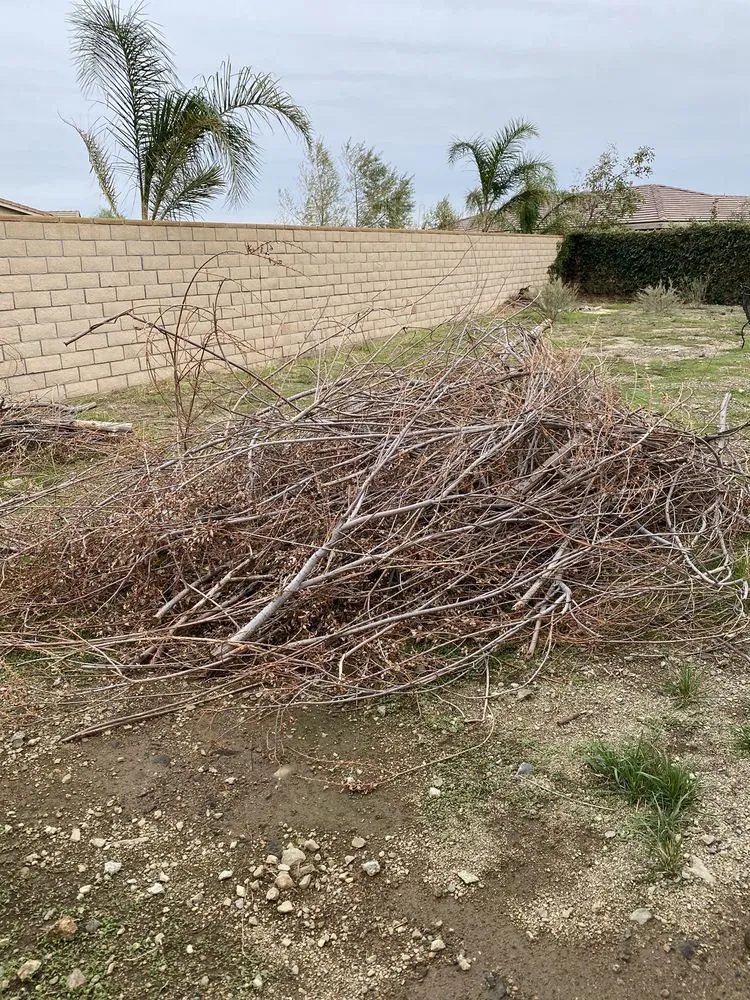 Trusted lawn mowing service experts serving Riverside, CA - Dust to Lawn Landscaping