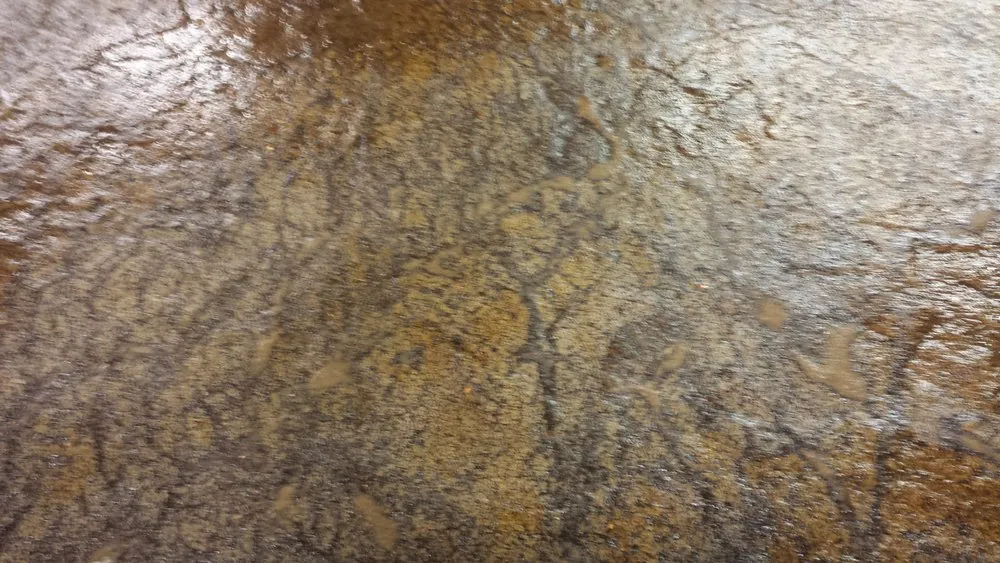 Top-rated garden landscaping in Lacey, WA - Dustin Concrete