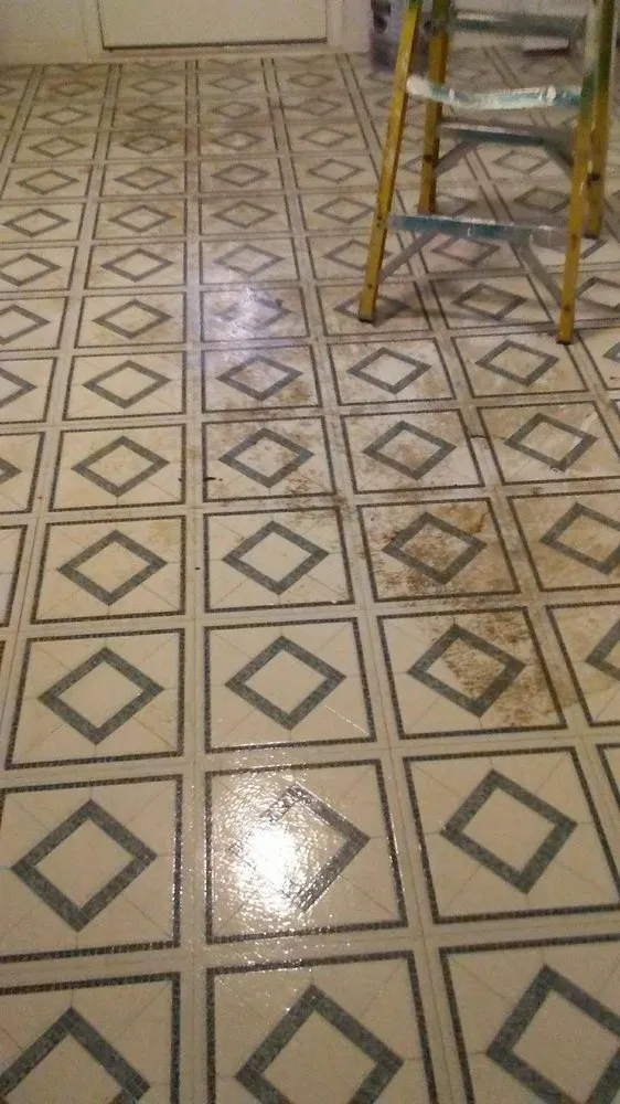 Top-rated landscape design near you in Kingston, PA by Dusting Duet Cleaning Service