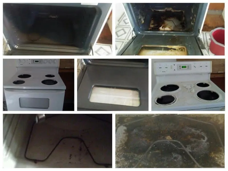 Custom yard cleanup service for homes across Kingston, PA - Dusting Duet Cleaning Service