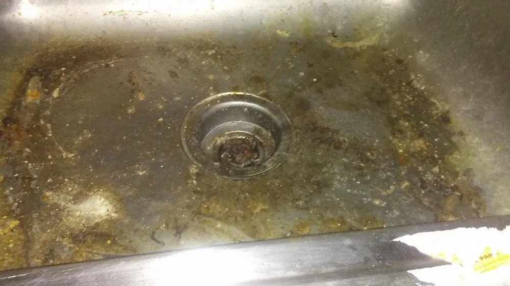 Top-rated landscape installation for beautiful yards in Kingston, PA by Dusting Duet Cleaning Service