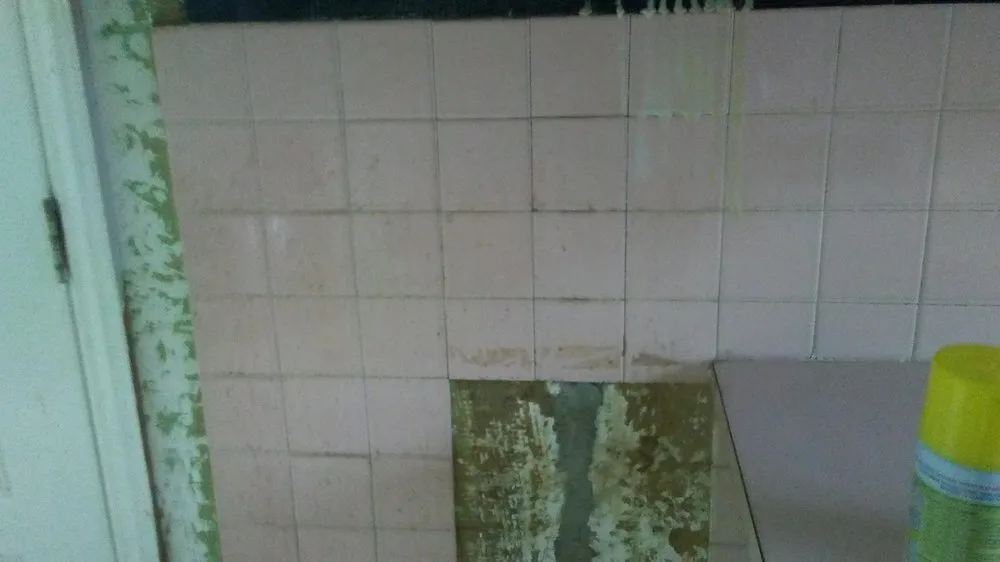 Professional outdoor landscaping near you in Kingston, PA by Dusting Duet Cleaning Service