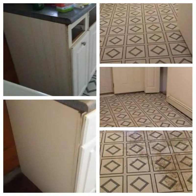 Professional yard cleanup service near you across Kingston, PA - Dusting Duet Cleaning Service