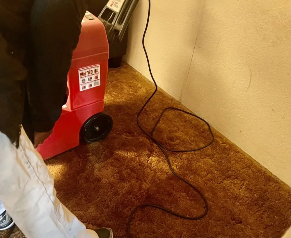 Reliable landscape installation experts serving Kingston, PA - Dusting Duet Cleaning Service