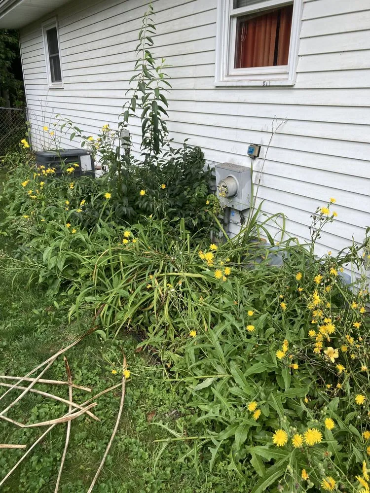 Expert outdoor landscaping for residential properties across Saginaw, MI - Dusting Duo