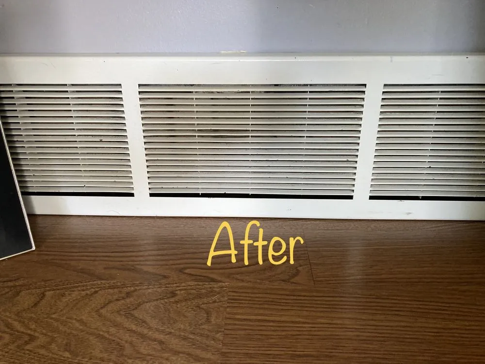 Professional yard cleanup service in Saginaw, MI - Dusting Duo