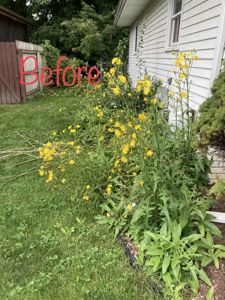 Local landscaping services in Saginaw, MI - Dusting Duo