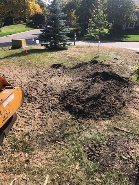 Professional lawn care service for beautiful yards across Annandale, MN - Dustin's Affordable Stump Grinding