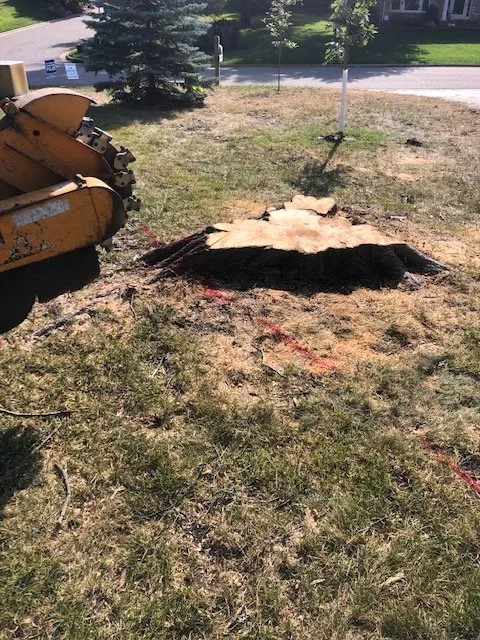 Expert lawn mowing service in Annandale, MN by Dustin's Affordable Stump Grinding