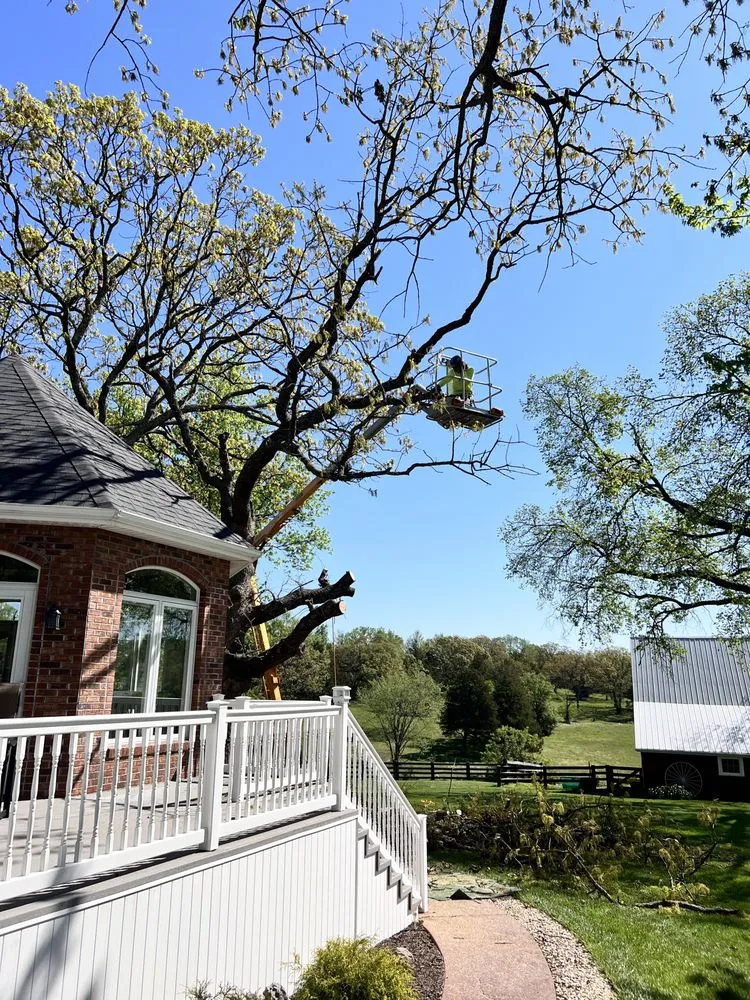 Reliable garden landscaping for year-round maintenance across Bloomsdale, MO - Dustins Lawn and Tree Service