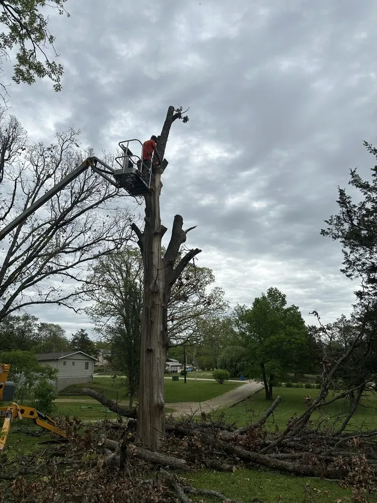 Reliable garden landscaping in Bloomsdale, MO by Dustins Lawn and Tree Service
