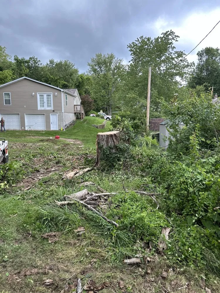 Expert residential landscaping in Bloomsdale, MO - Dustins Lawn and Tree Service