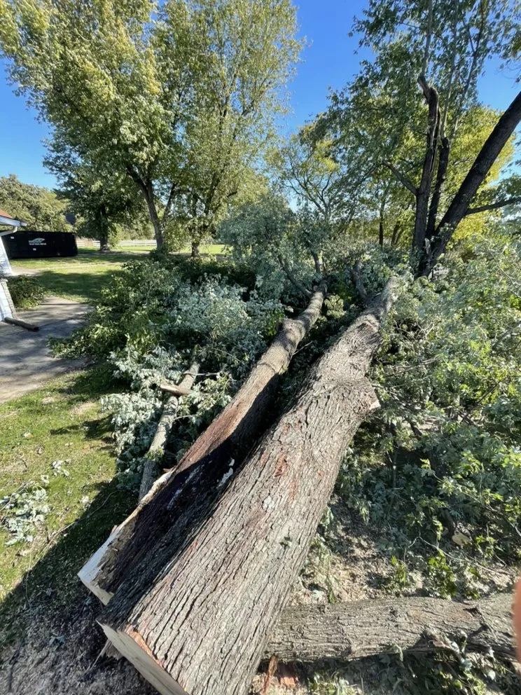 Expert yard cleanup service experts serving Bloomsdale, MO - Dustins Lawn and Tree Service