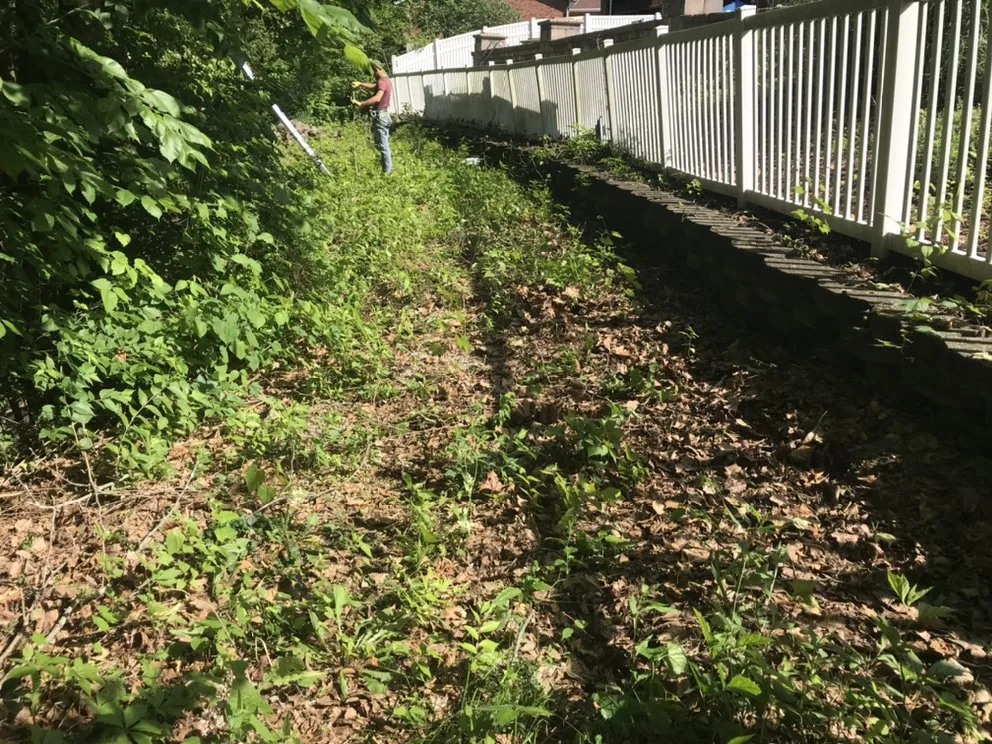 Affordable landscape design for year-round maintenance across Bloomsdale, MO - Dustins Lawn and Tree Service