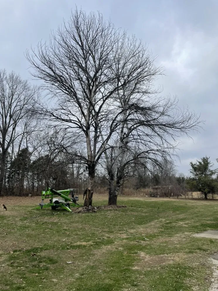 Reliable landscape design experts serving Bloomsdale, MO - Dustins Lawn and Tree Service