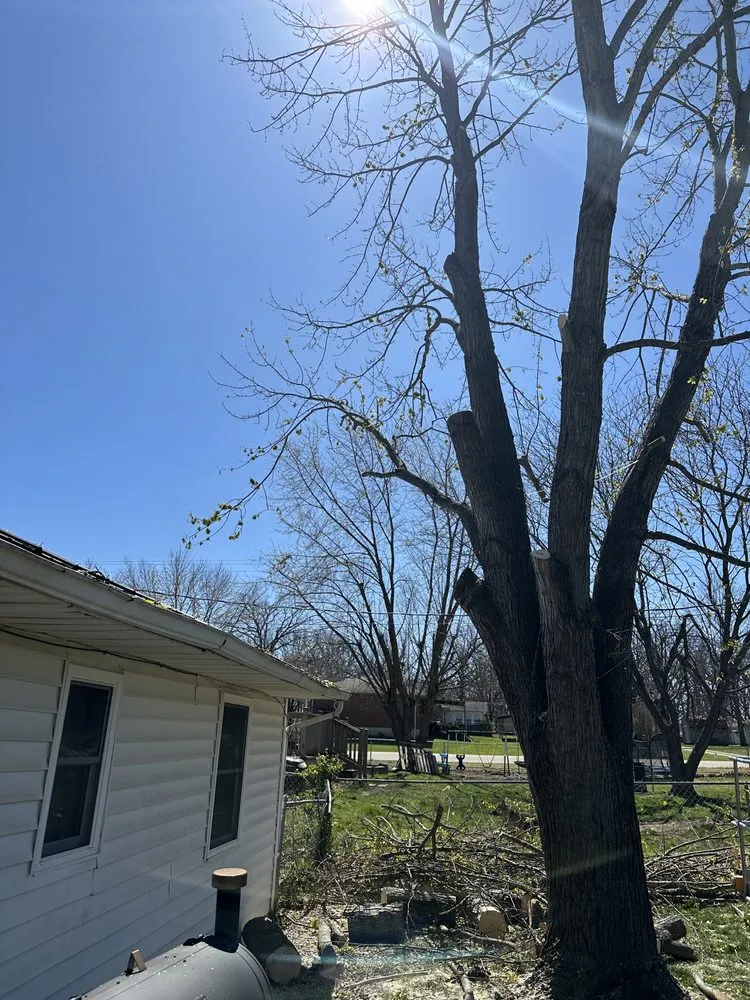 Trusted lawn care service in Bloomsdale, MO by Dustins Lawn and Tree Service